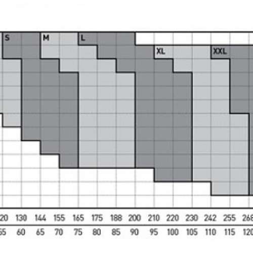 2XU Core Compression Tights 壓力褲 (ST)