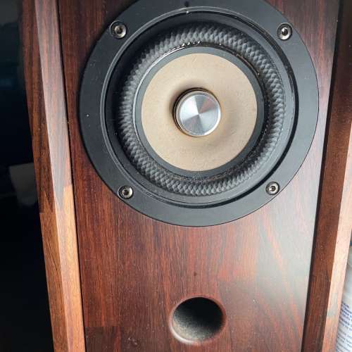 一對百姓足喇叭