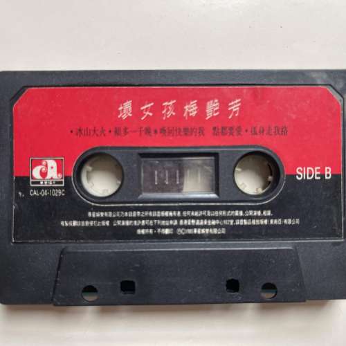 $100 [梅艷芳] 絕嚮 梅艷芳 初代版卡式錄音帶 - 《壞女孩》