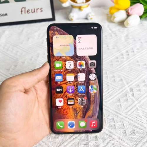 Apple iPhone XS Max 256G，6.7寸mon，電池效能100 %，已貼全新玻璃鋼化貼及保護套！