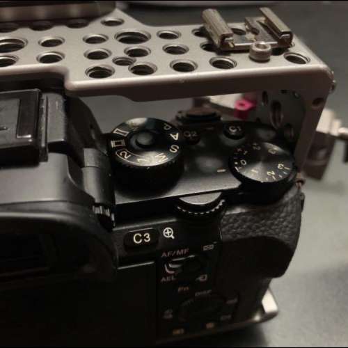 Sony a7s ii with 鐵頭 cage