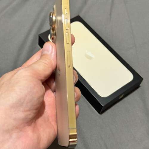 iPhone 13 Pro Max 256G