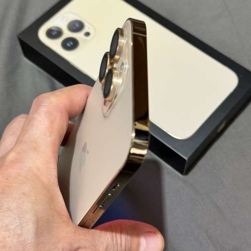 iPhone 13 Pro Max 256G