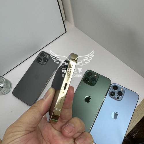 (最大容量13pro max )Apple Iphone 13 pro max 金色 綠色 灰色 黑色 256 512 1tb  ...
