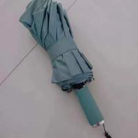 特大12骨防風自動雨傘