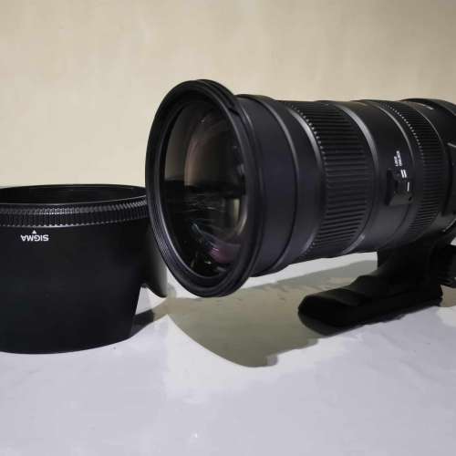Sigma 50-500 mm F4.5-6.3 OS DG APO HSM + ROLANPRO Lens Coat