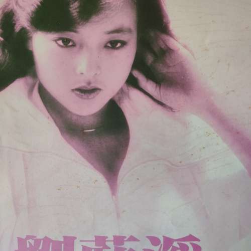 劉藍溪黑膠唱片