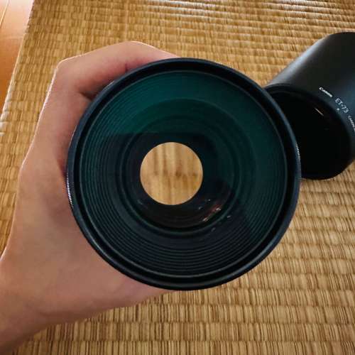 Canon EF 100mm f/2.8L Marco IS USM