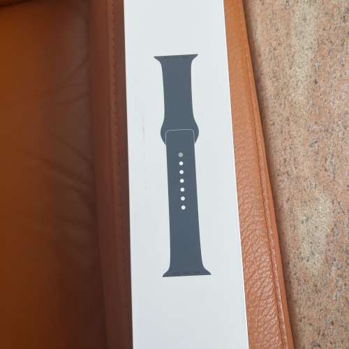 Apple Watch Series 7 Stainless Steel version