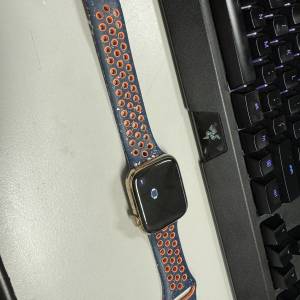 Apple Watch S9 不鏽鋼 金色（45mm)