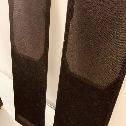 TDL 2路座地喇叭