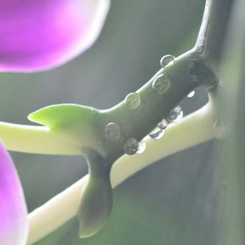 放兩支收藏多少用原廠NIKON AF及微距手動對焦鏡=$1500(小黑二個支)