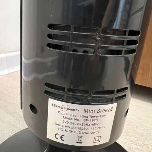 Smart Tech 直立風扇