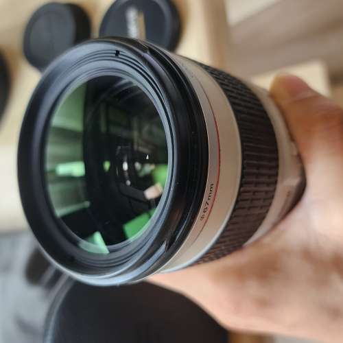 Canon 70-200mm f/4L 小小白