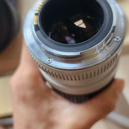 Canon 70-200mm f/4L 小小白