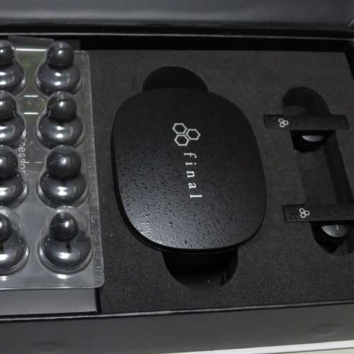 Final ZE8000 藍牙耳機 (黑色)