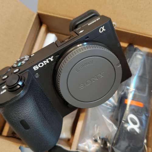 Sony a6600 + smallrig兔籠 兩電雙充 快門3千幾