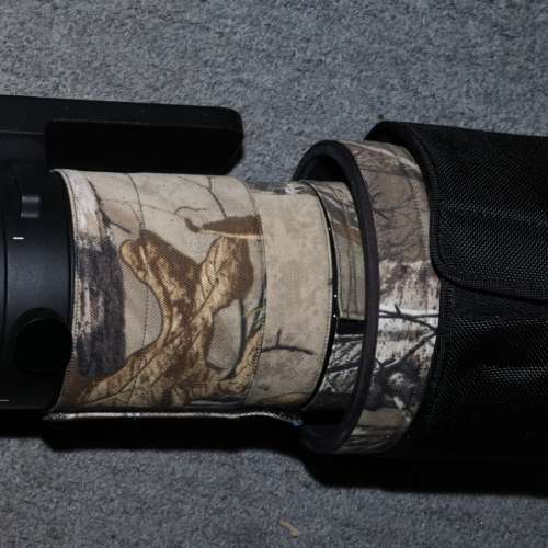 sigma 150-600mm 貴族版sport canon EF 演唱會打雀 用