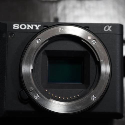 Sony a6600