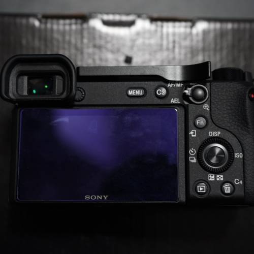 Sony a6600