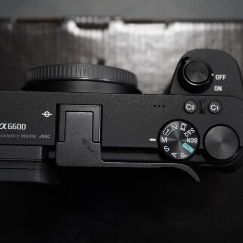 Sony a6600