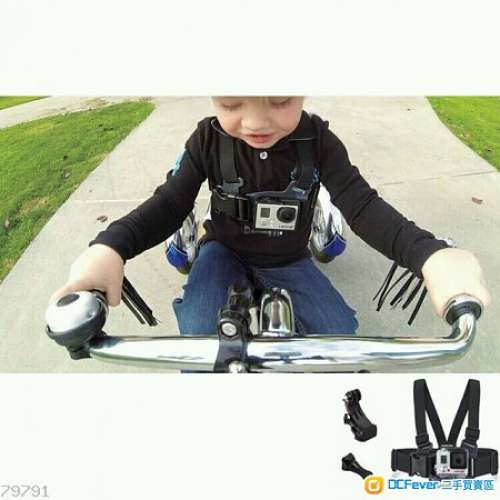 全新 GoPro HERO 3 / 3+ / 4 / 5 單雙肩 小童胸帶 手帶 頭帶 狗狗胸背帶 ( 購買指定...