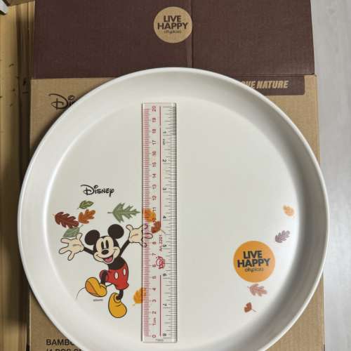 迪士尼碗碟套裝（一盒四件）