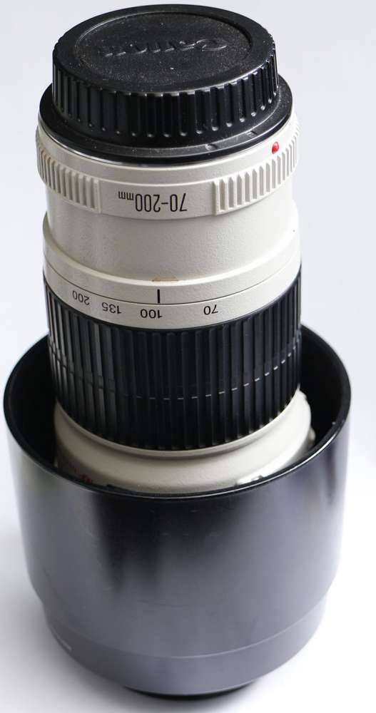 Canon EF 70-200mm f4.0L USM - 二手或全新自動對焦鏡頭, 攝影產品