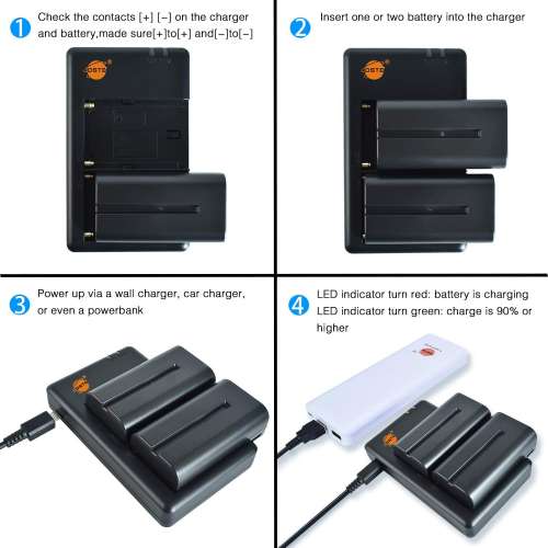 DSTE SONY NP-F330 / NP-F550 / NP-570 / NP-F590 Battery Pack With USB Charger 01