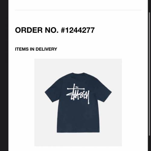 stussy Tee