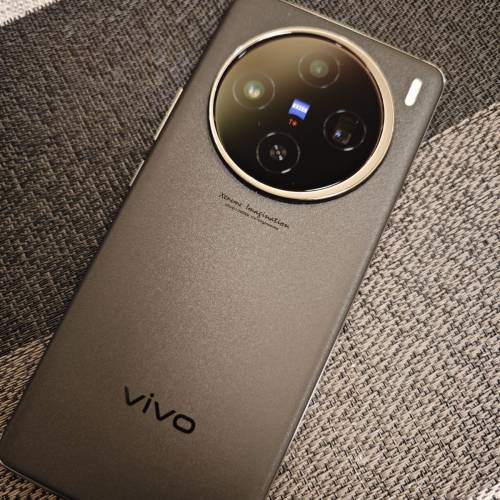 vivo x100 256/12