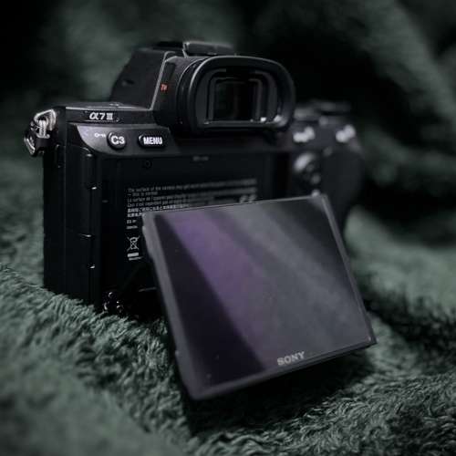 Sony a73+ FE 24-105 F4 G OSS鏡