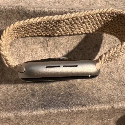 Apple Watch S5 LTE (silver) 44mm