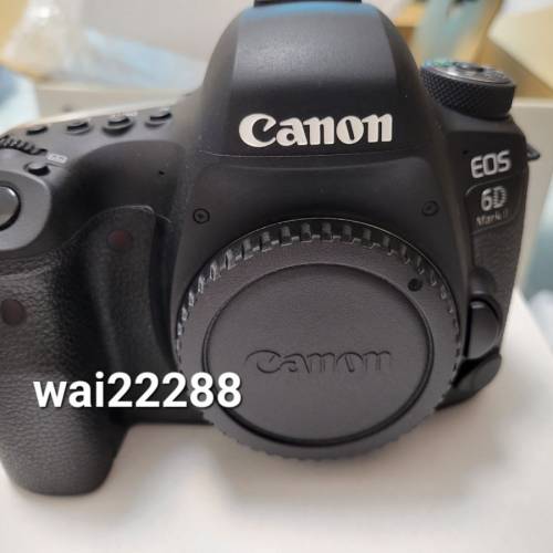 Canon 6D Mark II EF 24-105 f/4L IS II USM Kit