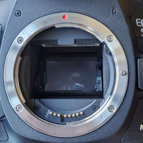 Canon EOS 5D Mark III with CANON LENS EF24-105mm f/4.0 IS U