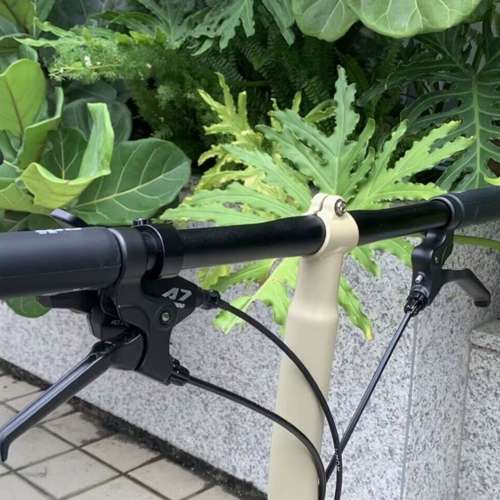 特賣 自改平把款 Ruhm Rc7 7speed C剎 鉻鉬鋼 折叠車 送前後蛙燈叮叮  ((( 另外我地...