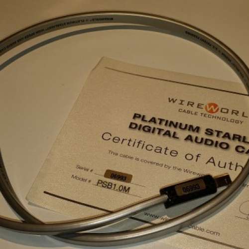 Wireworld Platinum Starlight 6 前旗艦純銀USB - 二手或全新Earphones