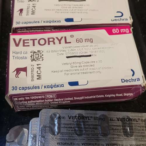 Vetoryl 60mg