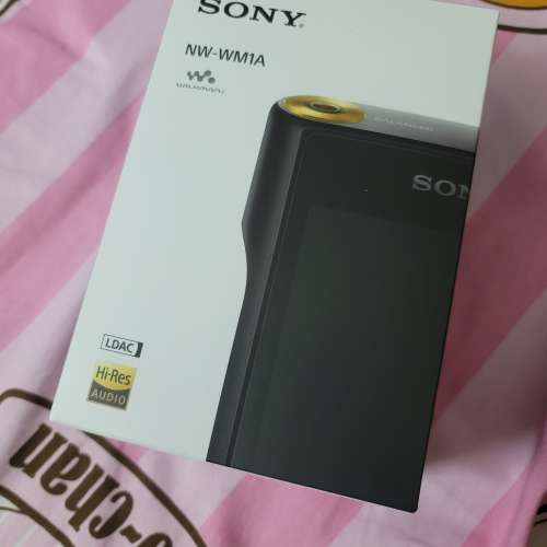 Sony NW-WN1A 黑磚一代