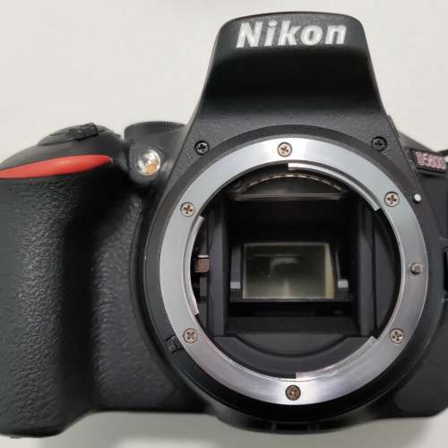 Nikon D5600 + AF-P DX NIKKOR 18-55mm f/3.5-5.6G VR kit lens