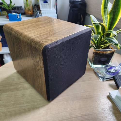 Danmax DM-SUB80B 8" Subwoofer