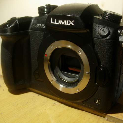 ( 新淨)  Panasonic Lumix  DMC-GH5  無反機