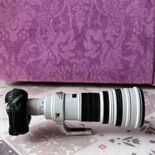 Canon EOS 1D Mark II迷你模型
