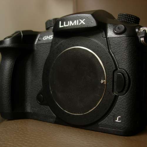 Lumix  GH5  無反機