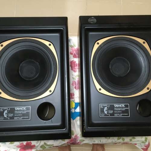 Tannoy Chester T165, 10" Dual Concentric speaker.