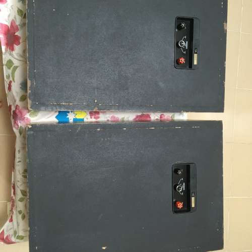 Tannoy Chester T165, 10" Dual Concentric speaker.