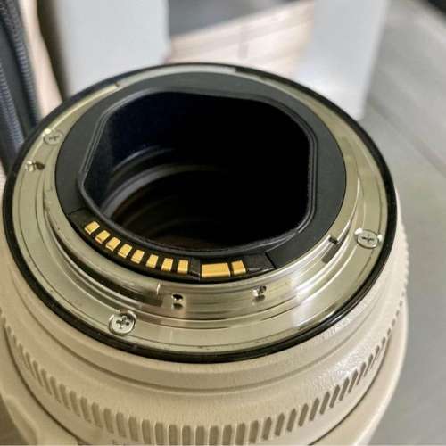 Canon 小白2 EF70-200mm f/2.8L IS II USM 連B+W 77mm XS-PRO nano Filter