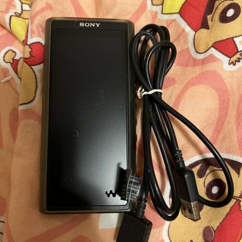 Sony nw-zx300 DAP