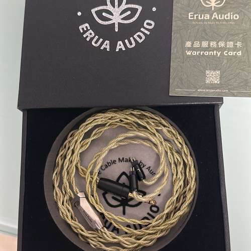 ERUA audio 升級線