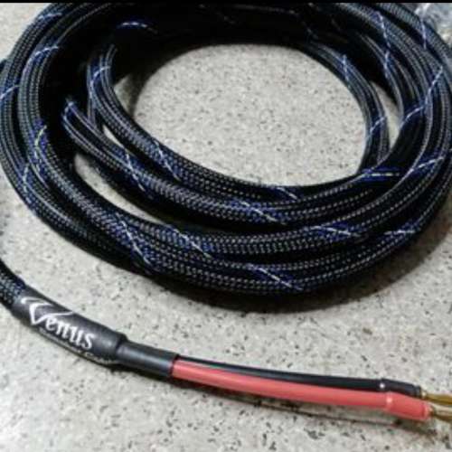 Venus speaker cable 6米蕉插